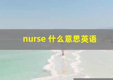 nurse 什么意思英语